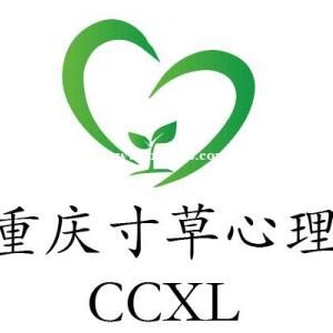 重庆青少年厌学心理干预亲子冲突